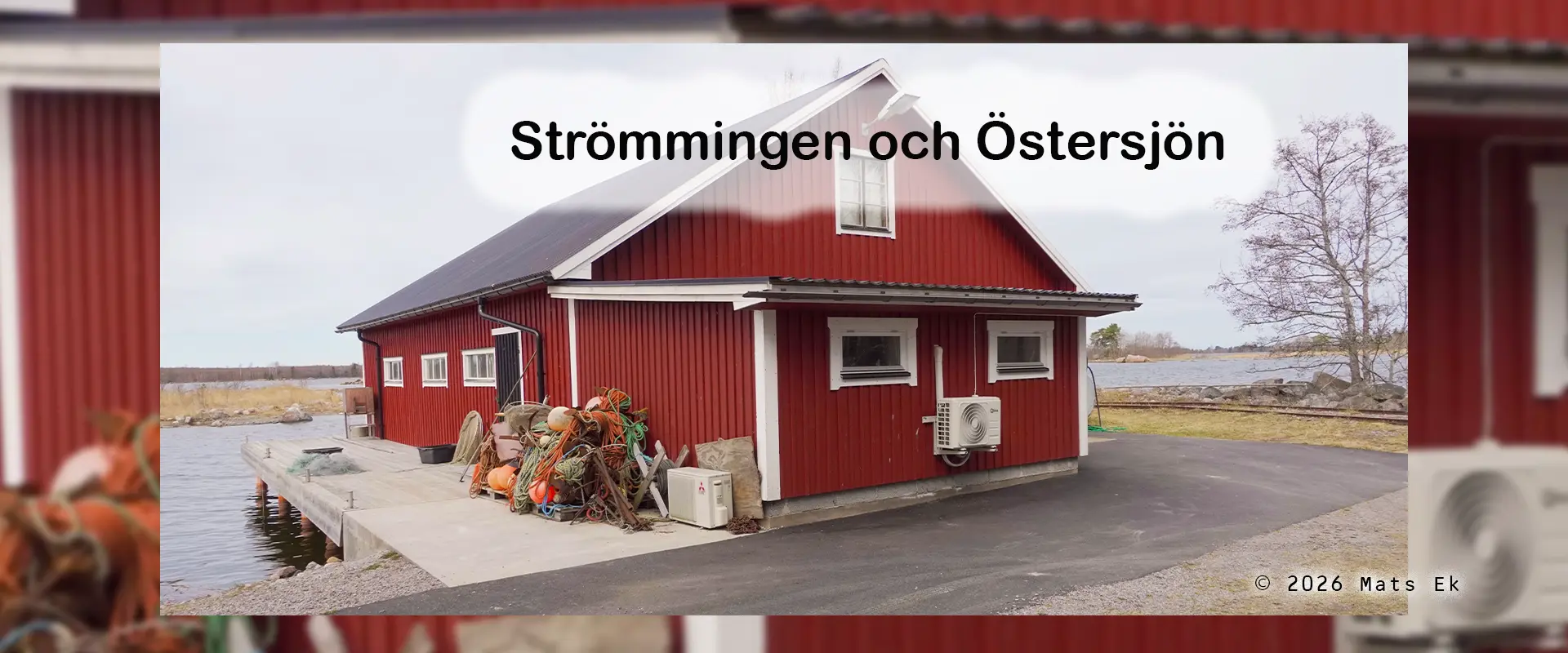 Hero_Strömmingen_Östersjön