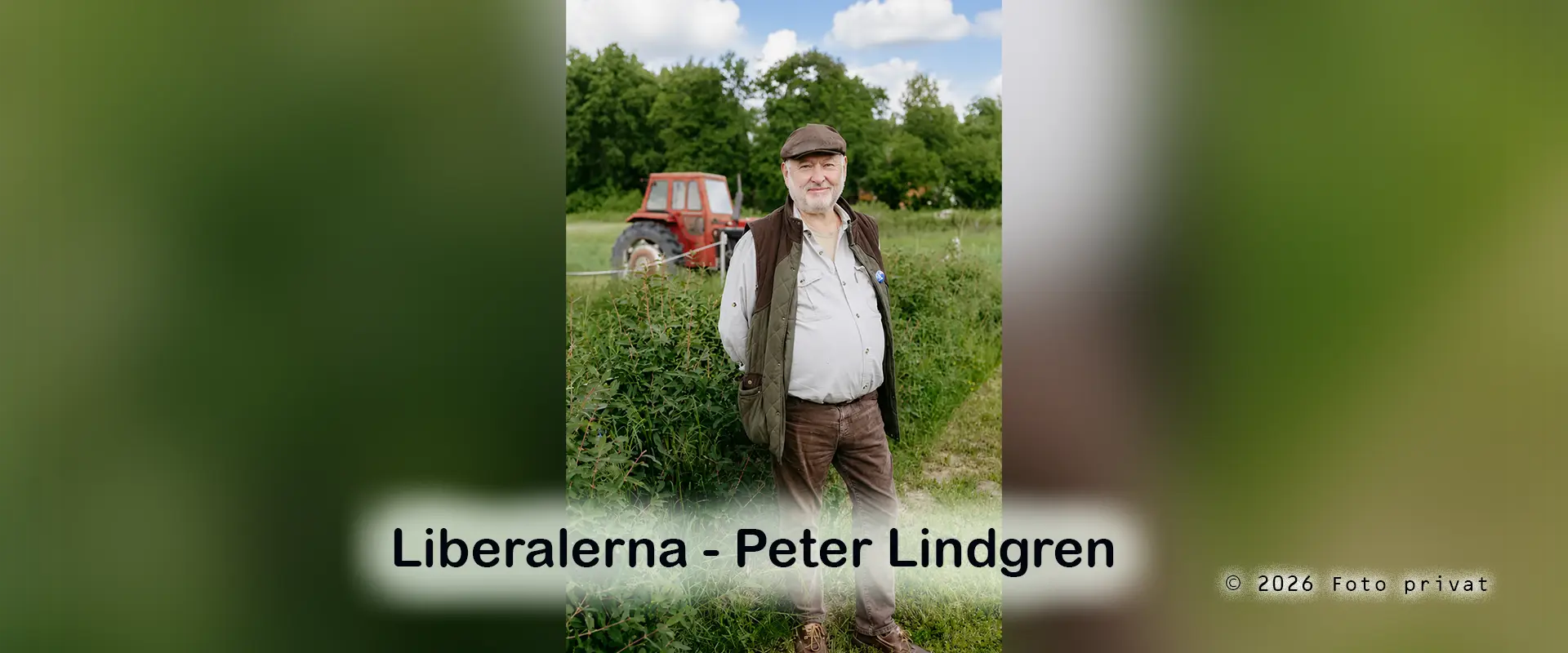 Liberalerna