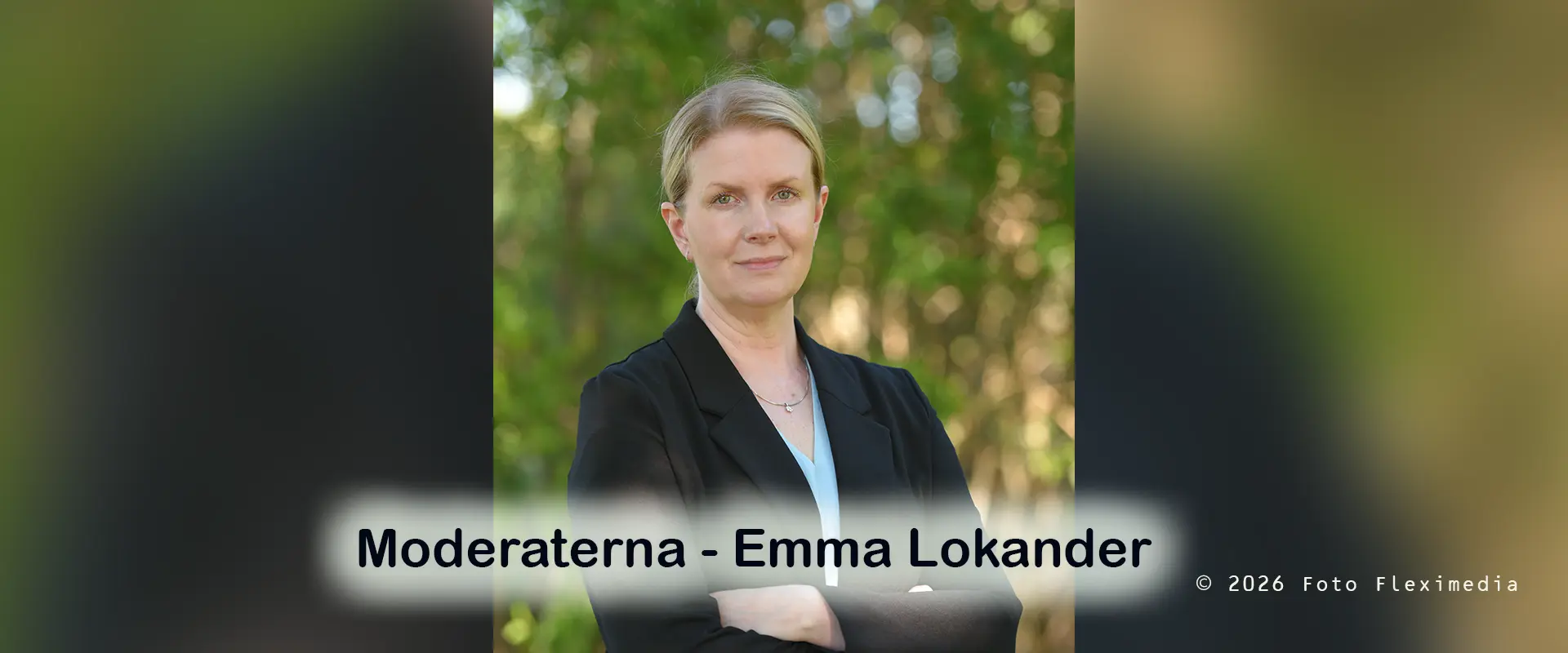 Moderaterna copy
